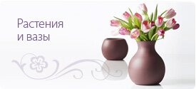Растения и вазы